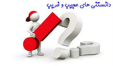 دانستنی‌های جالب و اطلاعات عمومی خواندنی