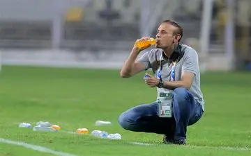 خطر ترسناکی که از بیخ گوش گل‌محمدی گذشت