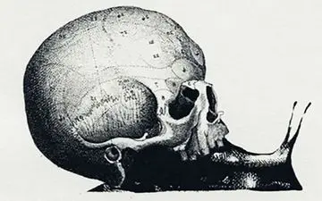 تست شخصیتی/ در چه حرفه‌ای موفق خواهید شد!