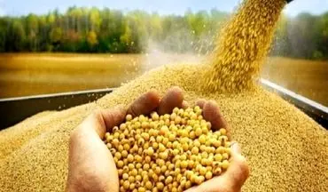 قیمت روز نهاده‌های دامی و کشاورزی اعلام شد | تغییرات بازار ۴ شهریور ۱۴۰۴