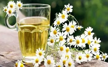 درمان بی خوابی با گیاه بابونه