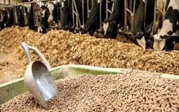 متخلفین توزیع نهاده‌های دامی در جهاد کشاورزی کرمانشاه دستگیر شدند