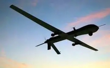  وحشت شهرک‌نشینان صهیونیست از میهمان ناخوانده