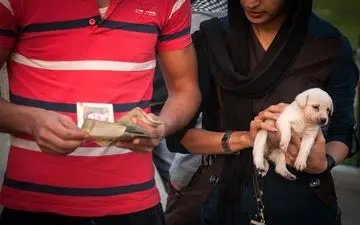 شغل جدید دختران جوان در ایران! +عکس