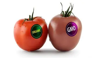 فرق محصولات ارگانیک با تراریخته + فیلم 