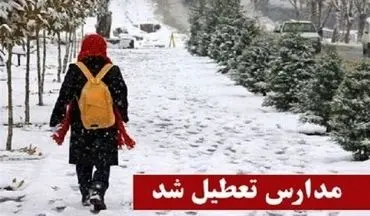 برف و کولاک مدارس کردستان را به تعطیلی کشاند
