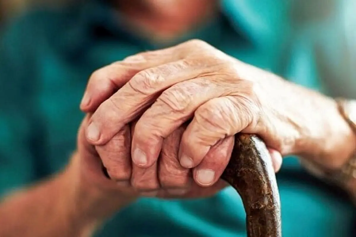رژیم غذایی ناجی سالمندان چیست؟