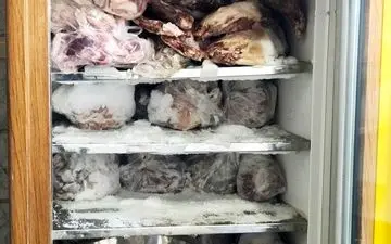 کشف 4 تن کله‌پاچه و گوشت قرمز فاسد در جنوب تهران