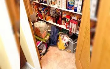 اگر فکر میکنی باهوشی جواب بده / بگو ببینم حیوان کجاست؟