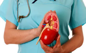 مردم، سرمایه انجمن‌های‌ کلیوی هستند