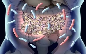 تاثیر میکروبیوم روده بر سلامت پوست 