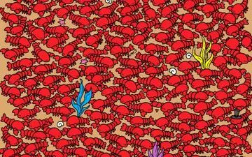 فکر میکنی هوش خوبی داری؟ در عرض 20 ثانیه بگو چهار خرچنگ کجاست ؟