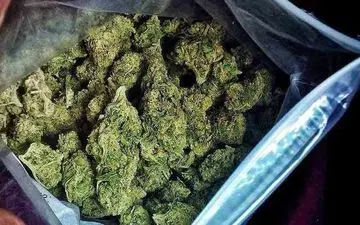 کشف 12 کیلو گرم مواد مخدر در هرسین  