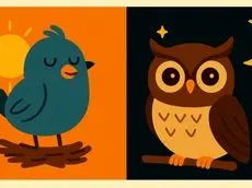 دانشمندان پنج تیپ خواب انسان را معرفی کردند؛ شما جزو کدامید؟