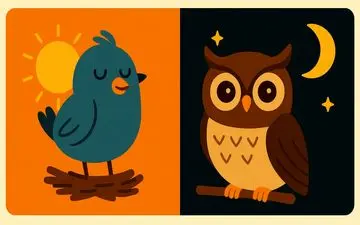 دانشمندان پنج تیپ خواب انسان را معرفی کردند؛ شما جزو کدامید؟