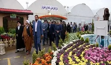 جشنواره گل‌های زینتی در خمینی شهر+فیلم