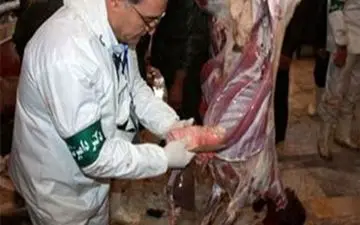 فعالان حوزه دامپزشکی سربازان گمنام سلامت هستند