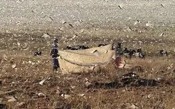 حمله ملخ‌ها به زمین‌های کشاورزی هرمزگان