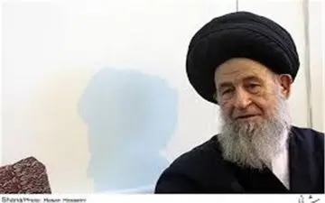 آیت الله علوی گرگانی از آیت‌الله حسینی بوشهری عیادت کرد