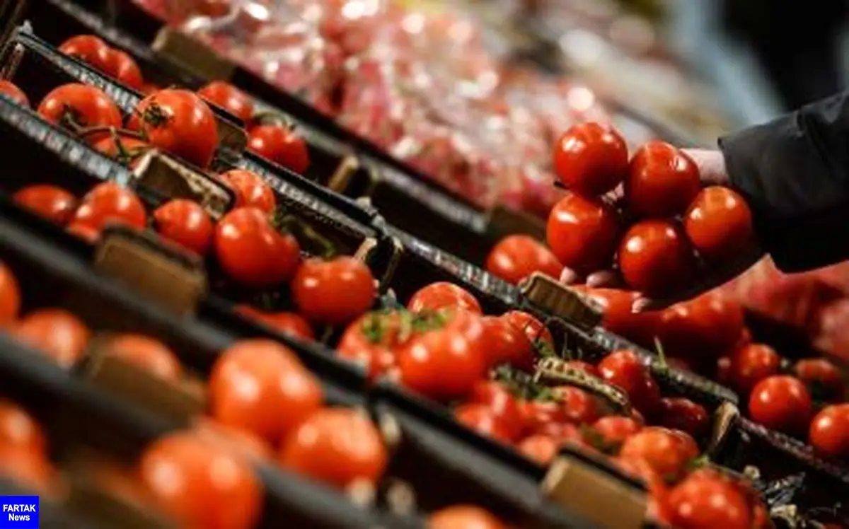  کاهش قیمت گوجه فرنگی از ۲۵ آذر/ ۵۳ هزار تن سیب و پرتقال برای شب عید ذخیره شد 