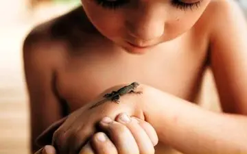 عکس روز نشنال جئوگرافیک/ مارمولک