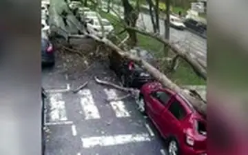  وقتی شانس داری و قرار نیست بمیری!