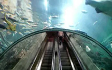  خاص‌ترین پله برقی دنیا که از وسط آکواریوم می‌گذرد