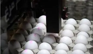 تخم‌مرغ در ماه مبارک افزایش قیمت ندارد/ تخم‌مرغ شانه‌ای ۱۰ هزار تومان