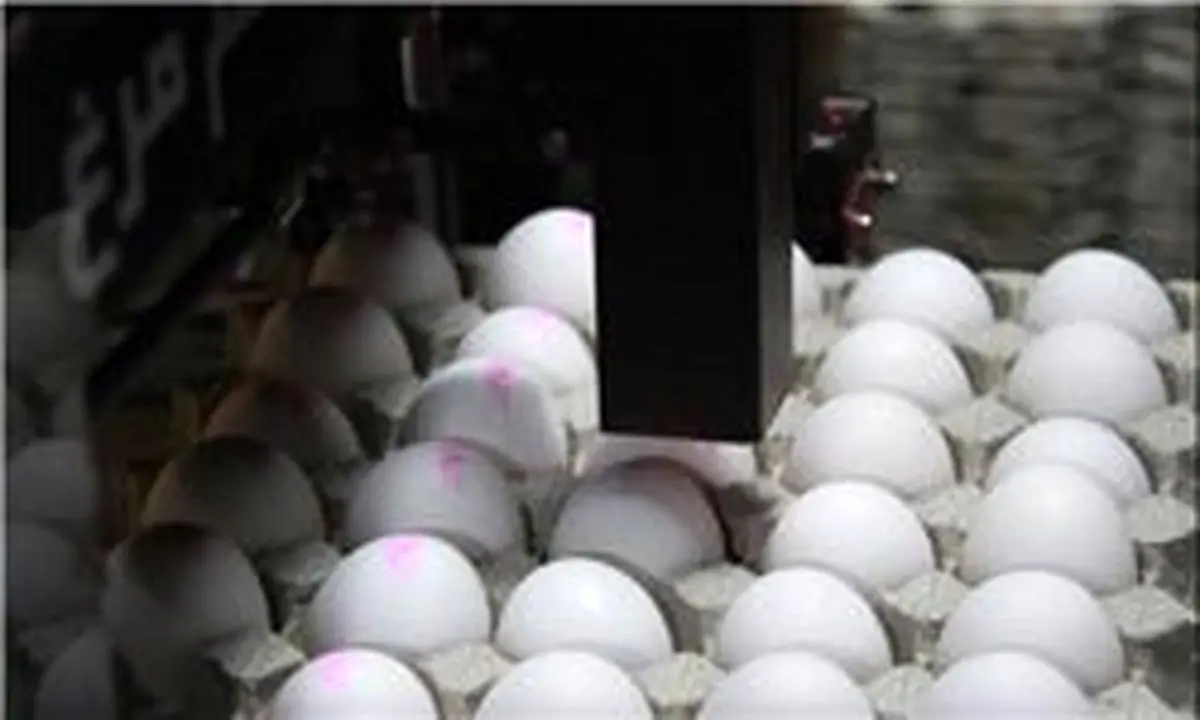 تخم‌مرغ در ماه مبارک افزایش قیمت ندارد/ تخم‌مرغ شانه‌ای ۱۰ هزار تومان