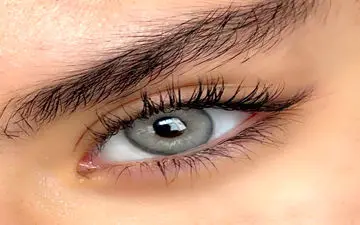 کسانی که لنز دارند بخوانند!