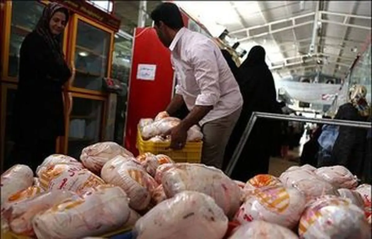 ممنوعیت خروج گوشت منجمد از این استان