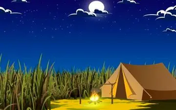 معمای جالب / کلاه رو در تصویر پیدا کنید !