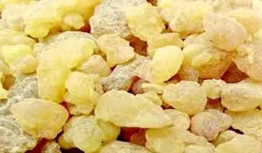 کندر می‌تواند التهاب ناشی از‌ ام‌اس را کاهش دهد