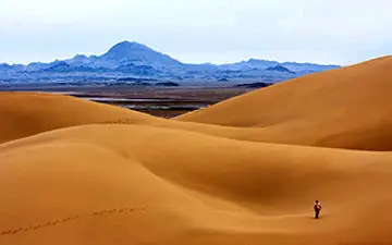 تبدیل کویر خشک و بی آب به مزارع کشاورزی+فیلم