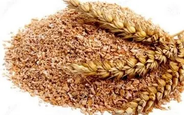 معجزه سبوس گندم برای قطع ریزش مو