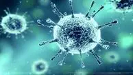 درمان های خانگی آنفولانزا را بشناسید 