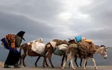 آغاز رسمی کوچ عشایر کرمانشاه از 30 آبان