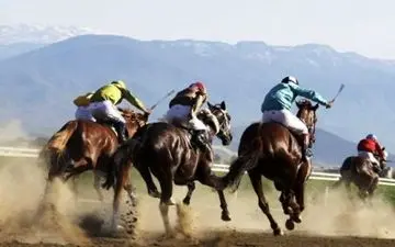 له شدن سوارکار کهنسال زیر پای اسب‌های مسابقه + فیلم