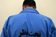 دستگیری دو سارق سابقه دار با پابند الکترونیکی در اقدامی تعقیبی در پایتخت
