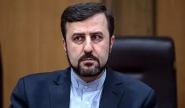 نماینده ایران معاون اول کمیسیون مواد مخدر سازمان ملل شد 