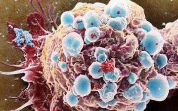 آنچه درباره سرطان نمی‌دانیم، خطرناک است