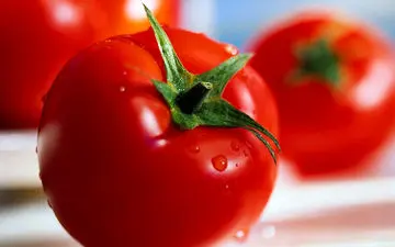 ارزش غذایی گوجه فرنگی