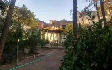 کافه نادری در امان‌ است/ خطری که به خیر گذشت