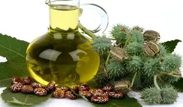 آیا مصرف روغن کرچک می‌تواند به کاهش وزن کمک کند؟