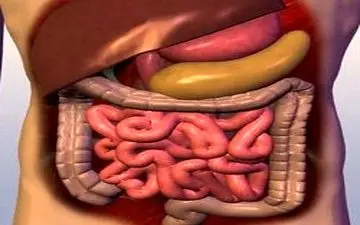 سلامت دستگاه گوارش بر روحیه و رفتار ما اثر می گذارد 