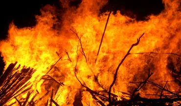فیلم| آتش‌سوزی در منطقه حفاظت شده البرز مرکزی کجور نوشهر