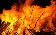 فیلم| آتش‌سوزی در منطقه حفاظت شده البرز مرکزی کجور نوشهر