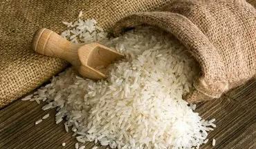 قیمت روز برنج ایرانی | هاشمی، طارم و عنبربو ۱ مهر ۱۴۰۴ + جدول