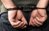  ۵ سارق در شاهرود دستگیر شدند