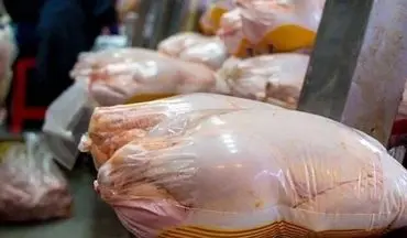 تولید گوشت مرغ به 240 هزار تن در ماه می‌رسد